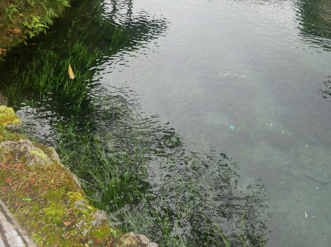Waku Pond景点图片