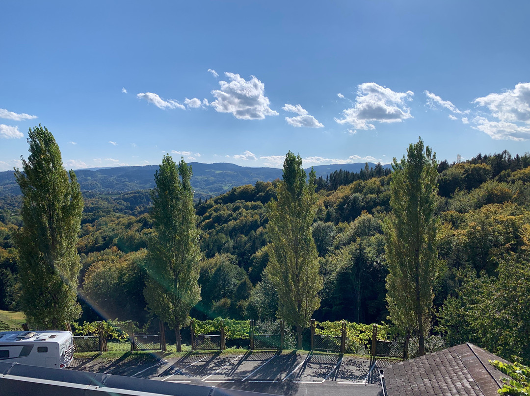 Weingut Tschermonegg