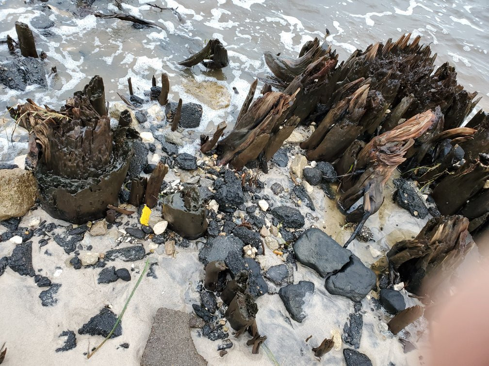 Carrabelle Beach景点图片