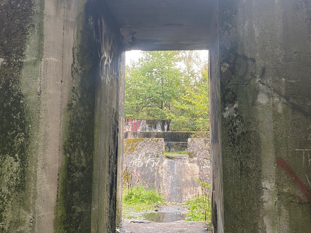 Kanonstilling G3-内克瑟必去景点
