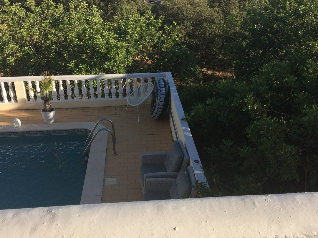 Panoramic Paradise主图