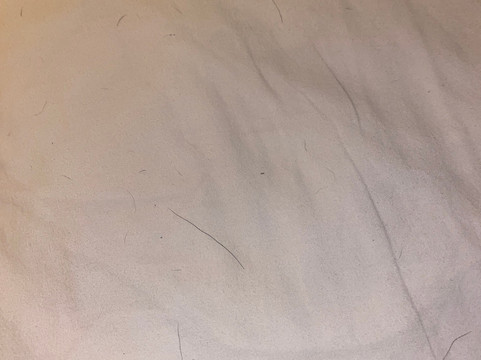 亚特兰大萨沃尼佐治亚购物中心红顶酒店主图