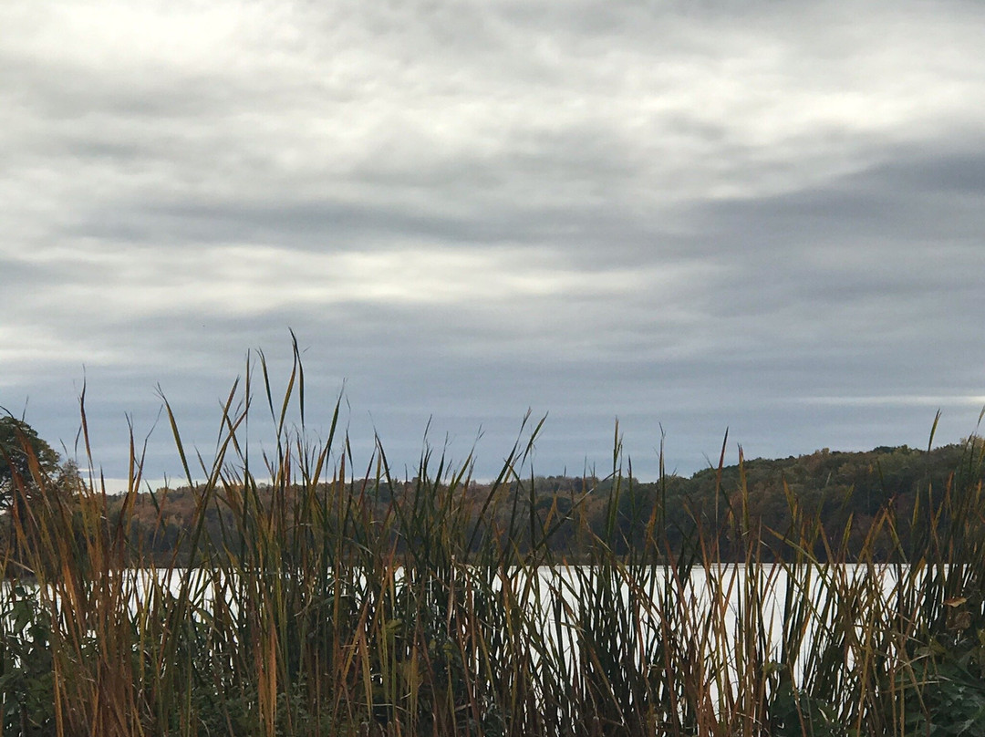 Fair Haven Beach State Park-Fair Haven必去景点