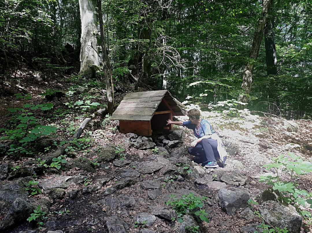 Vršatecký hrad-Vrsatske Podhradie必去景点