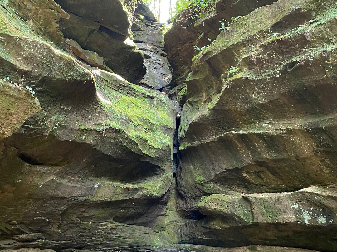 Hemlock Cliffs in Hoosier National Forest景点图片