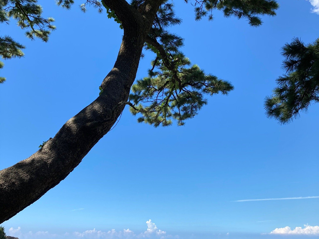 Kumi Beach景点图片