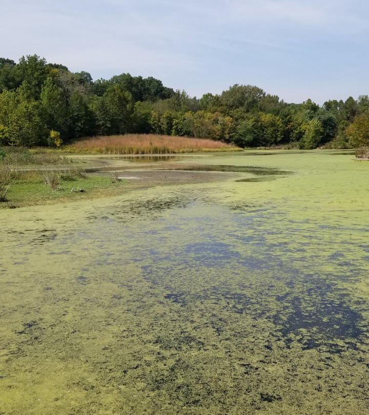 Watershed Nature Center-Edwardsville必去景点