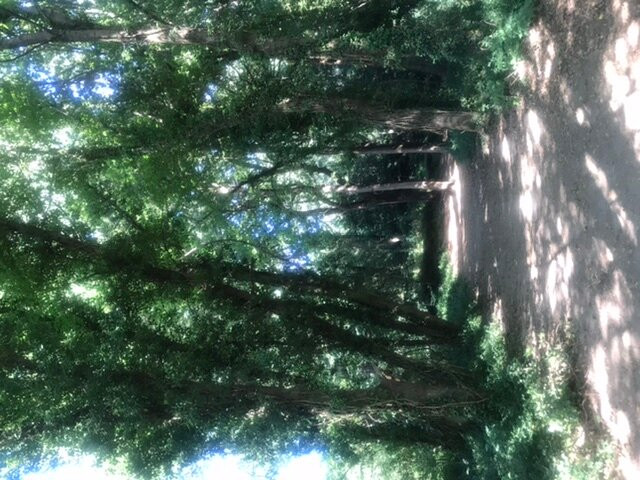 Finca de O Frendoal景点图片
