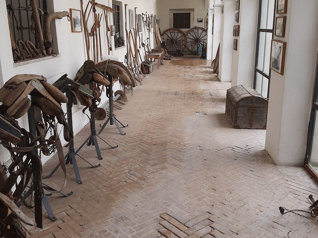 Museo civico di Cerchio-Cerchio必去景点