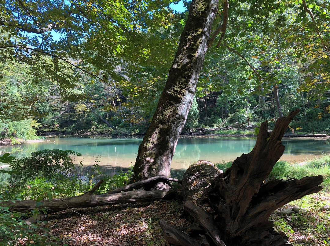 Clifton Gorge State Nature Preserve-Yellow Springs必去景点
