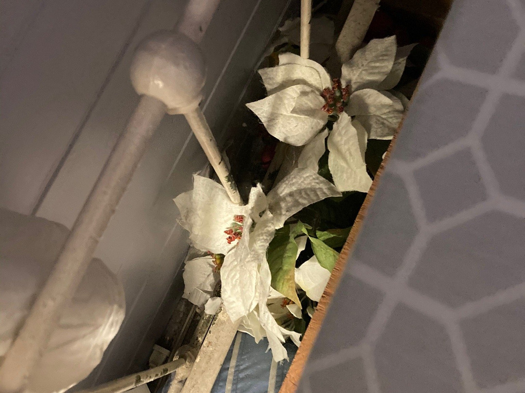 A Lady Winette Cottage Bed & Breakfast主图