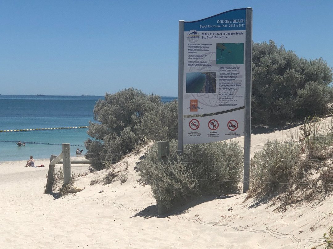 Coogee Beach景点图片