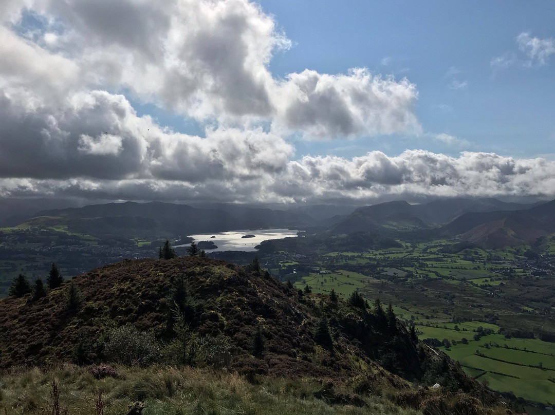 Dodd Wood Ospreywatch景点图片