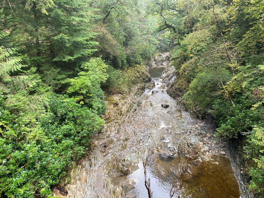Coed y Brenin Visitor Centre景点图片