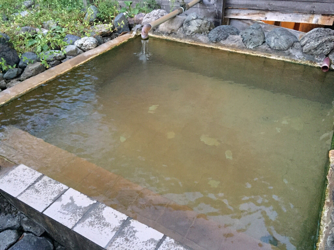 Miyauchi Onsen Ryokan主图