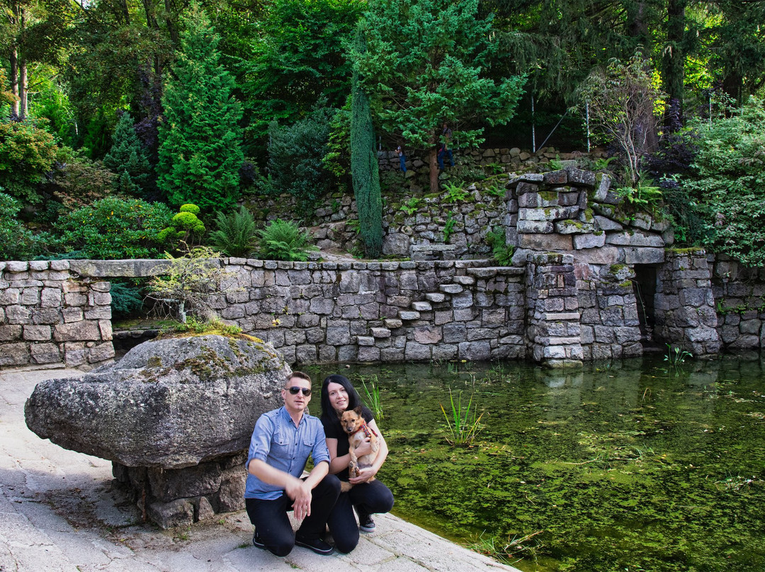 Siruwia - Japanese Garden景点图片