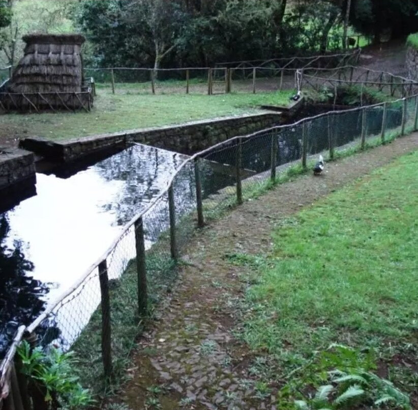 Guia Ilha da Madeira-马德拉群岛必去景点