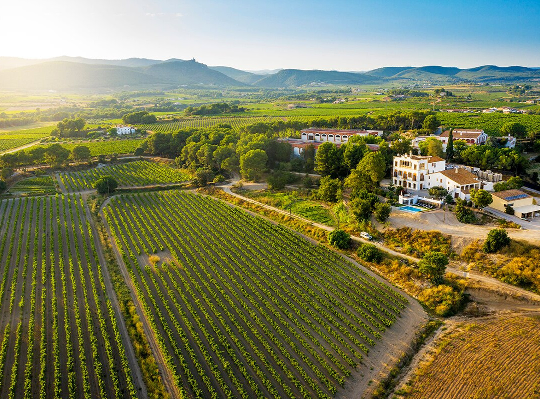 Bolet Casa Modernista主图