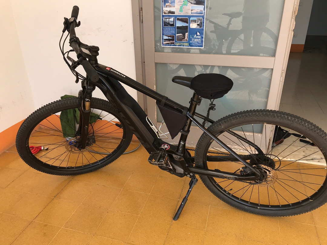 Windsurfing Center Stintino - Noleggio Biciclette Asinara-Asinara必去景点