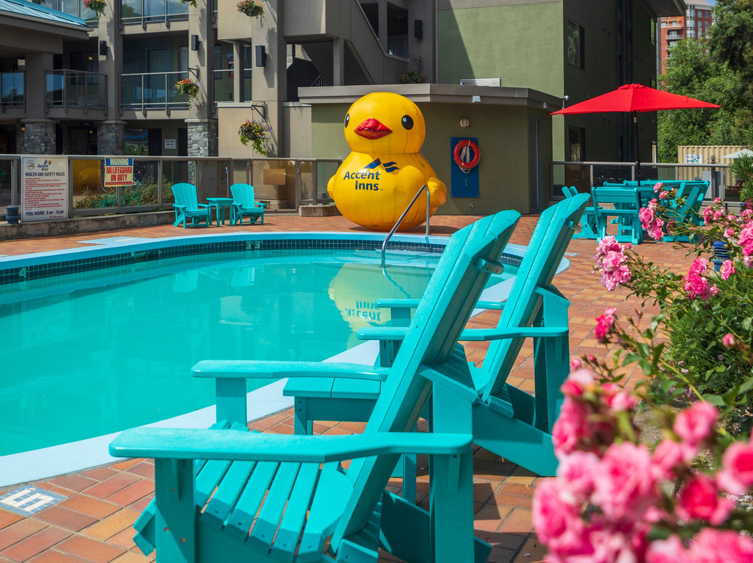 Accent Inn Kelowna主图