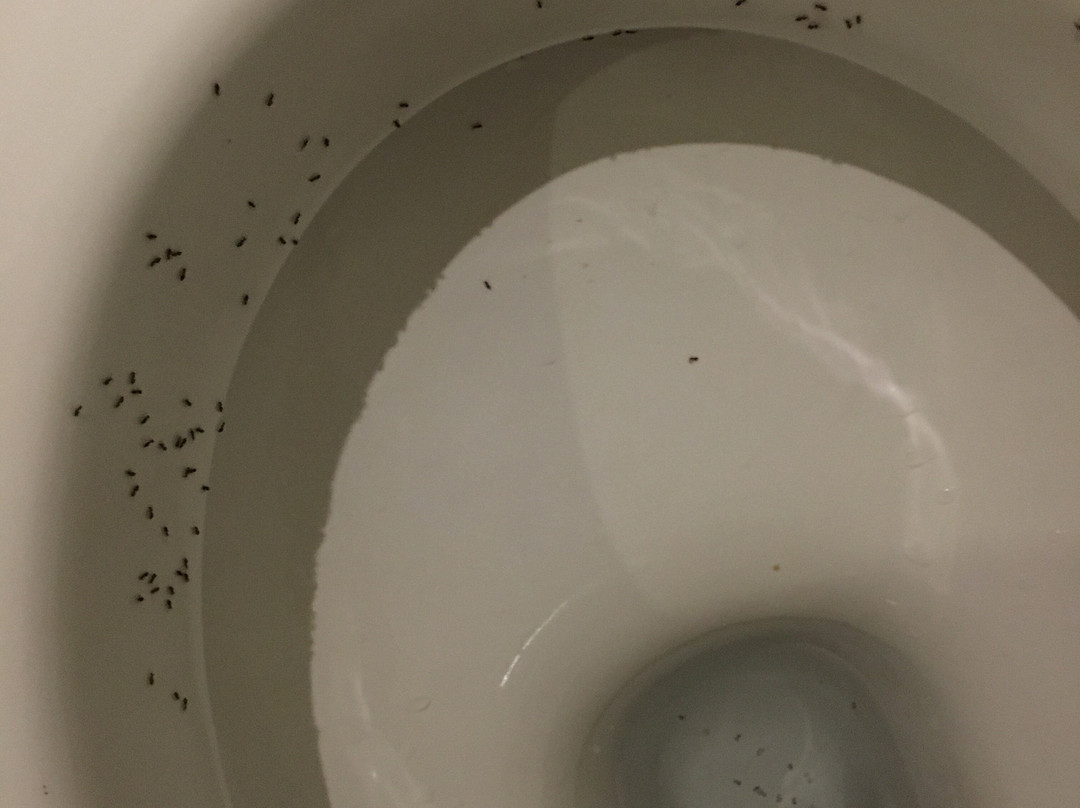 City Lodge Hotel Umhlanga Ridge主图