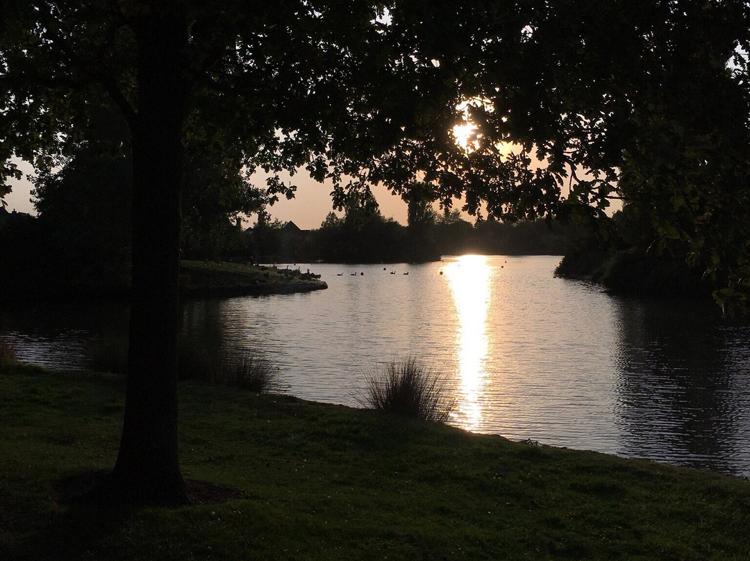 Furzton Lake景点图片