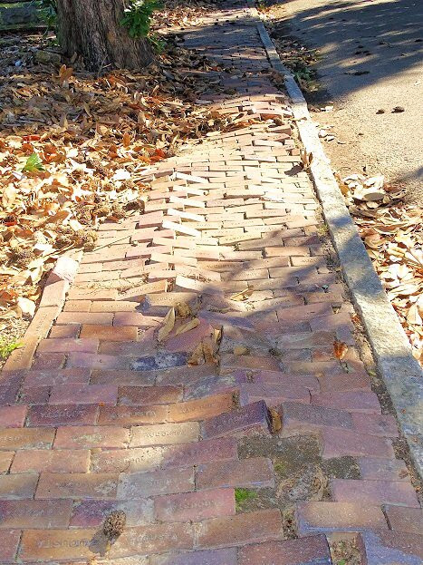 Magnolia Cemetery-奥古斯塔必去景点