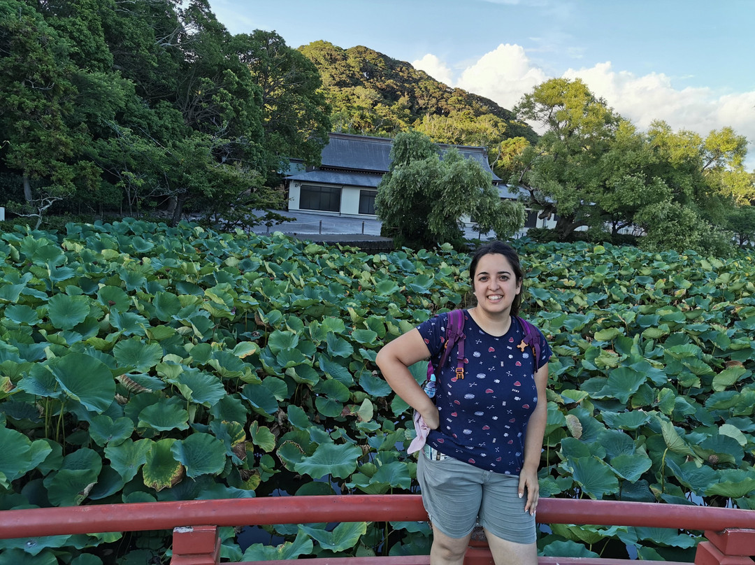 Gempei Pond景点图片