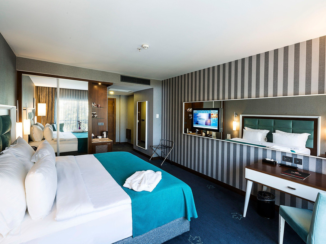 Premier Inn Sakarya主图