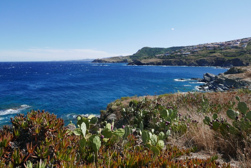 Le Sentier Sous-Marin de Cerbère-Banyuls-Cerbere必去景点