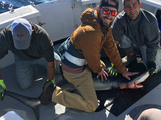 Mainely Blue Charters-南波特兰必去景点