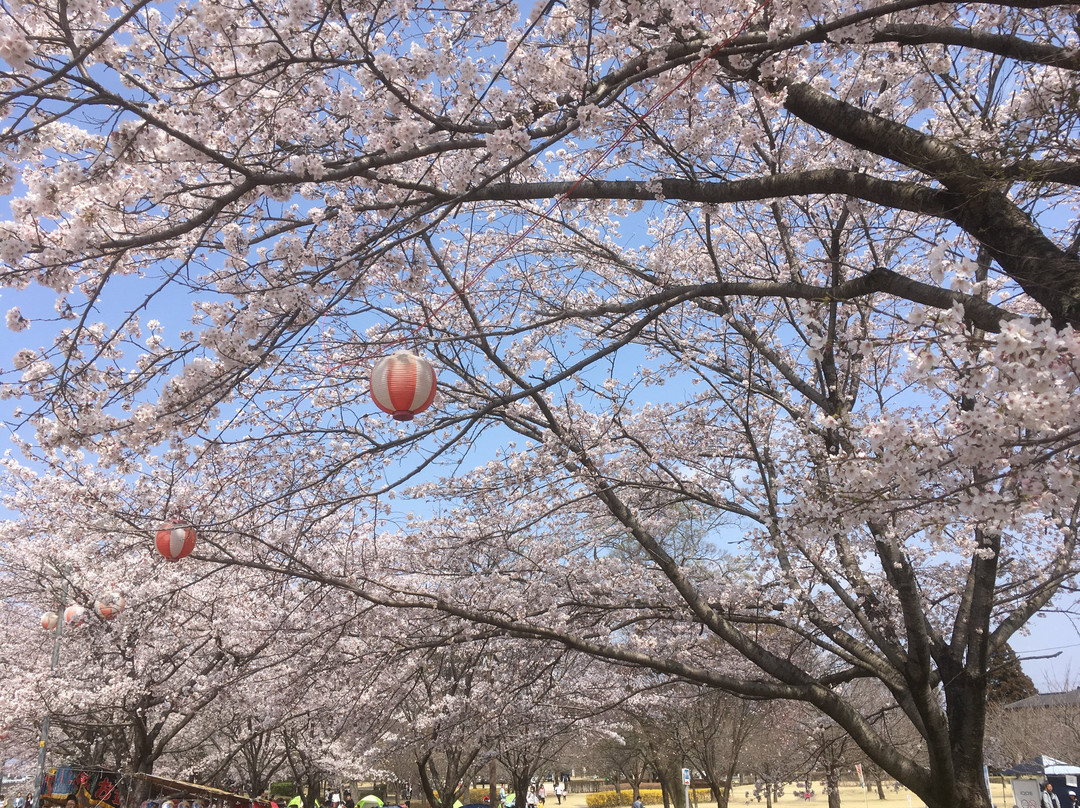 Shinonome Park-壬生町必去景点