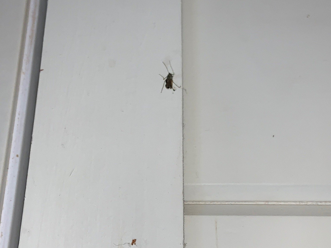 Indiana Beach-Monticello必去景点