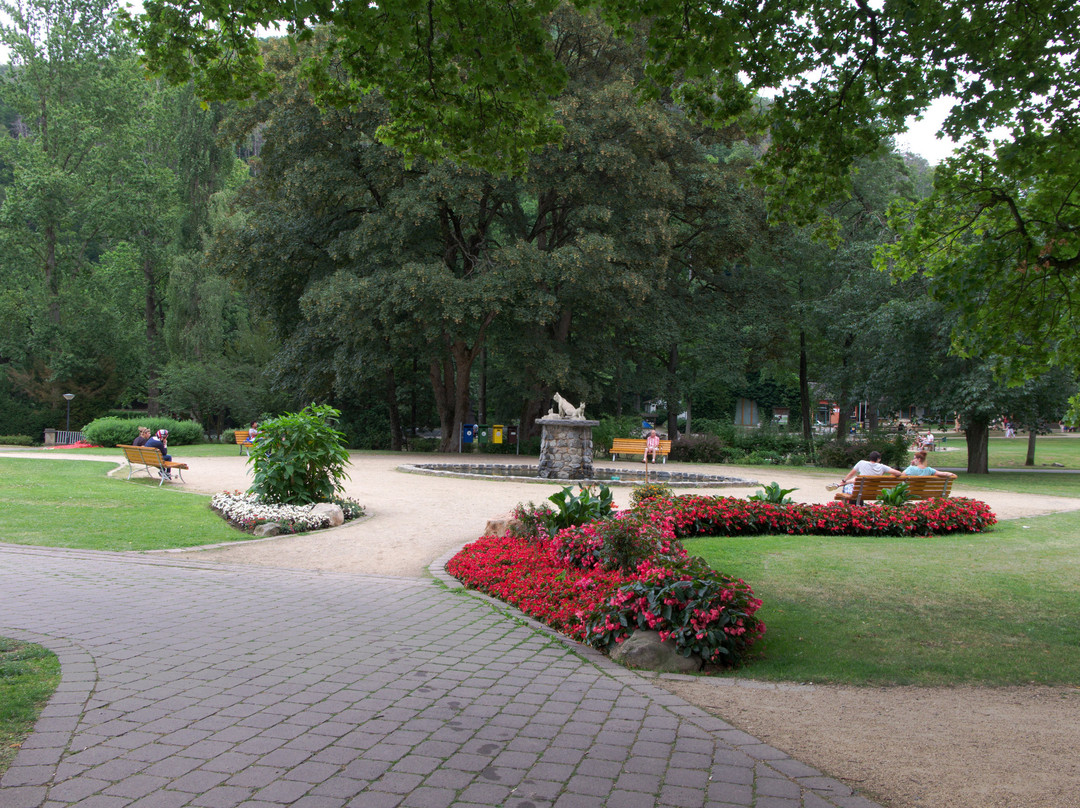 Kurpark景点图片