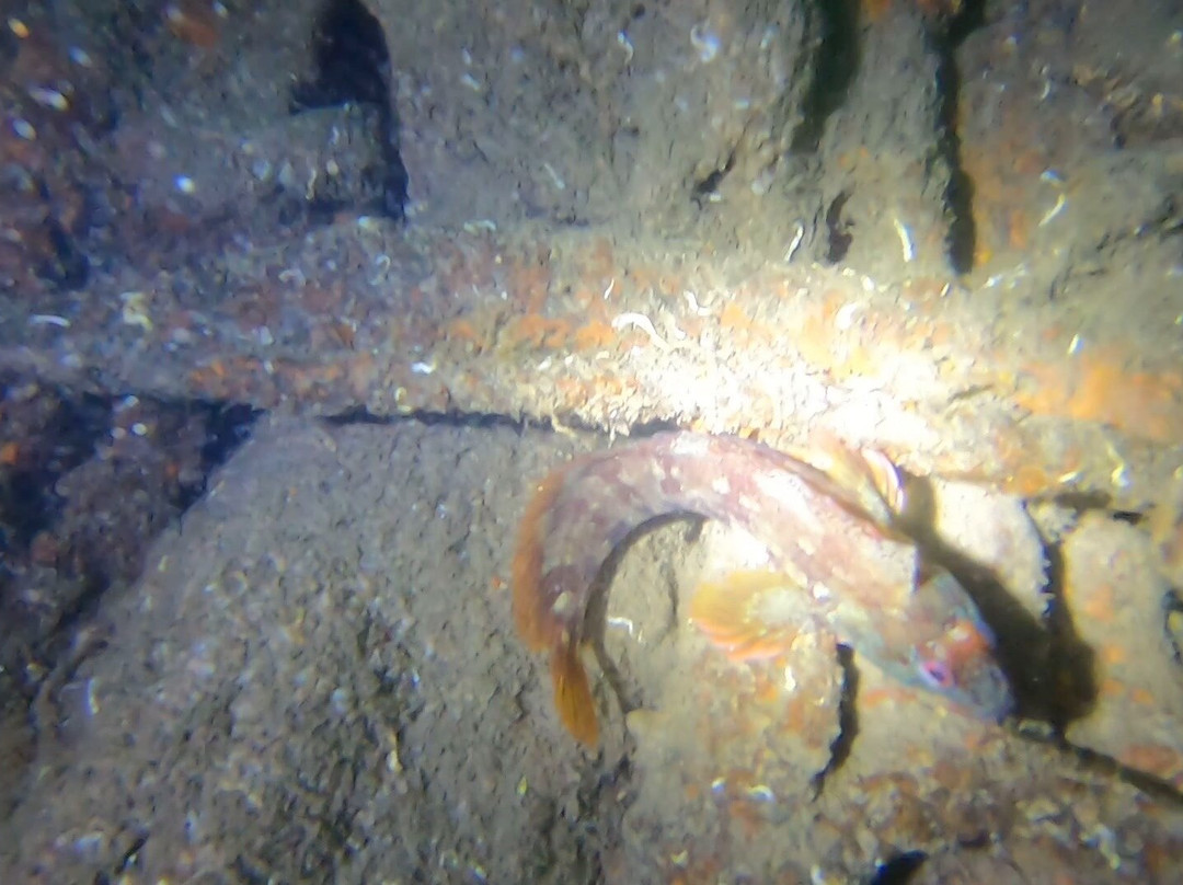 In Deep Dive Centre-普利茅斯必去景点