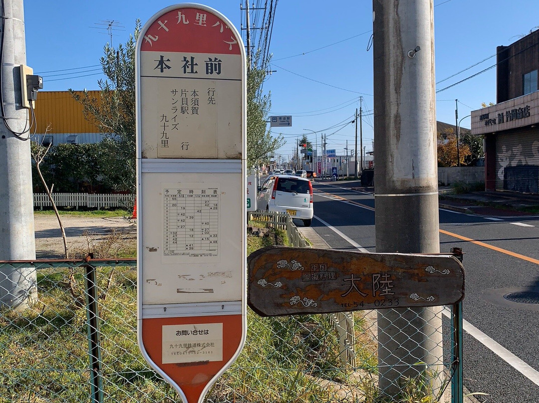 Kujukuri Railway景点图片