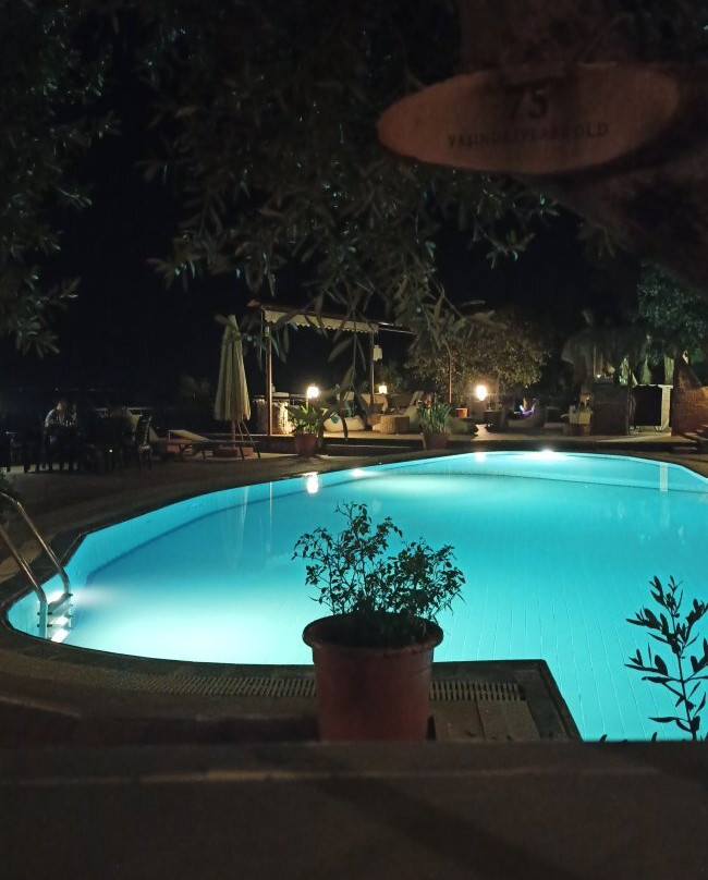 Pinecone Boutique Hotel主图
