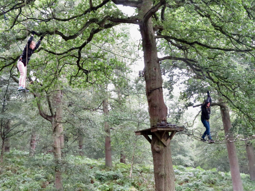 Trentham Treetop Adventures-Trentham必去景点