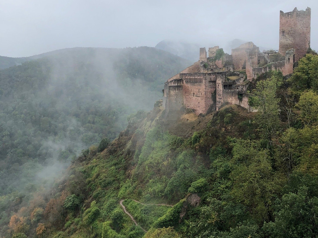 Château de Saint-Ulrich-里博维尔必去景点