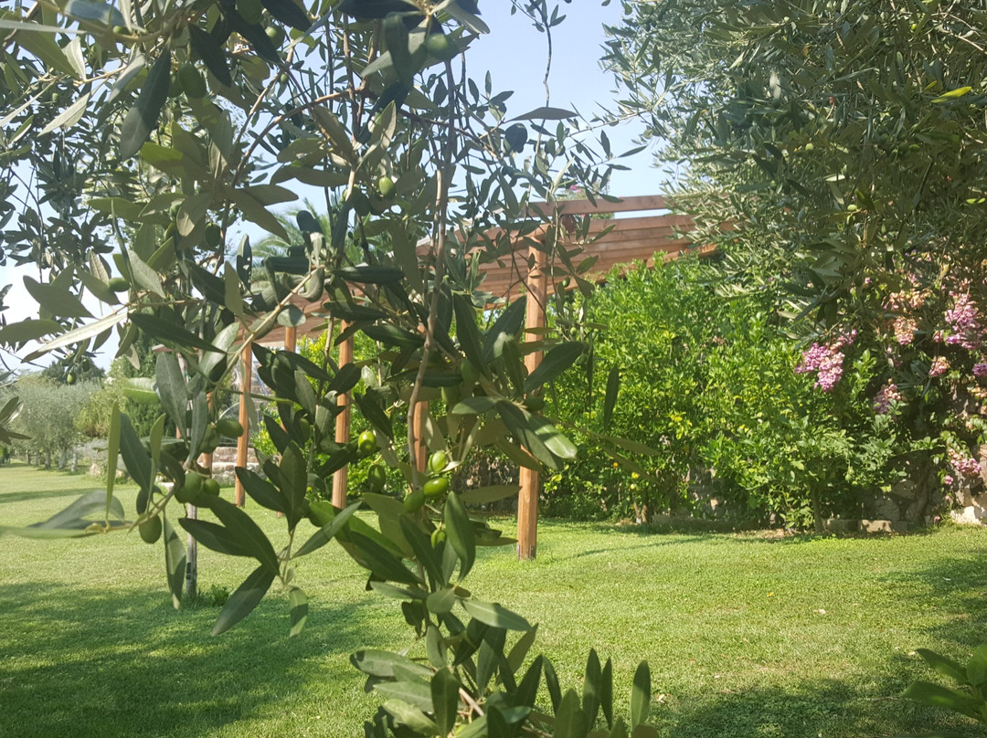 Esveal-巴尔多利诺必去景点