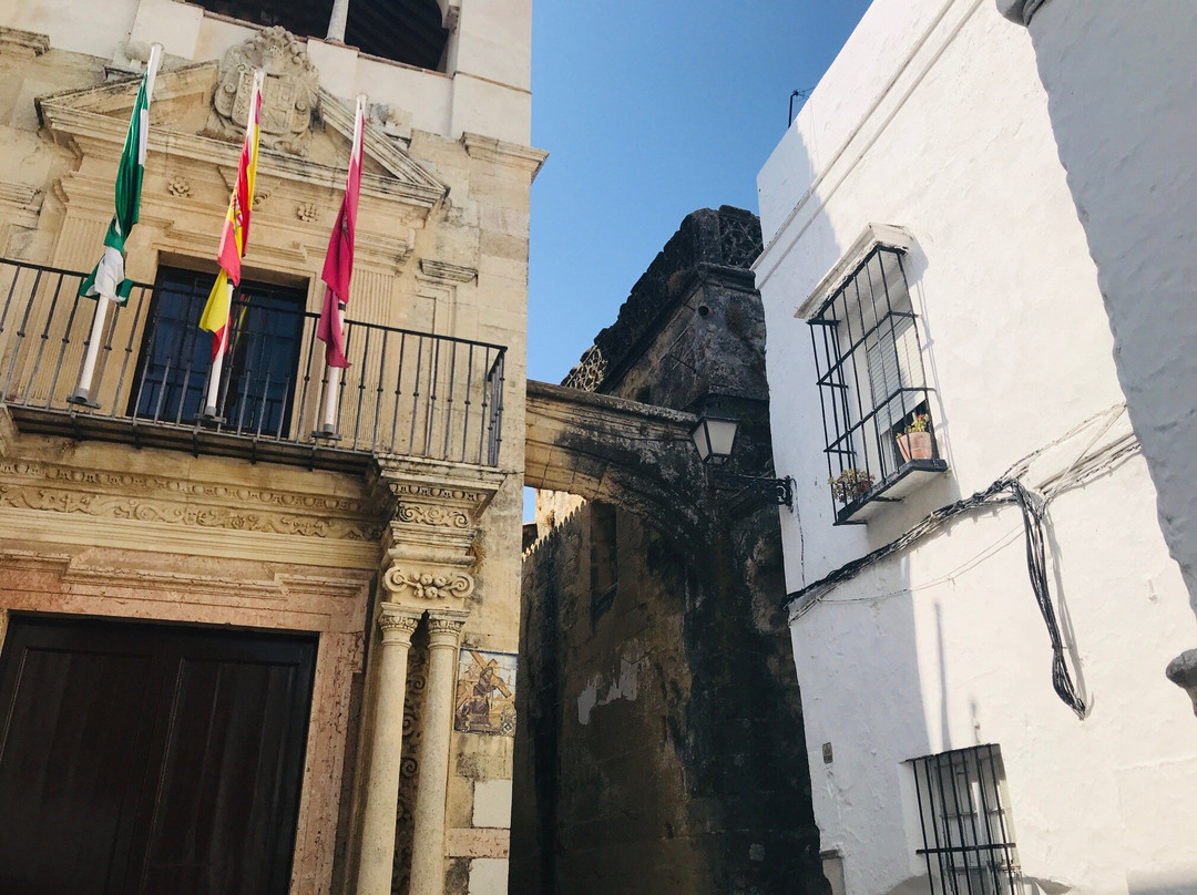 Plaza del Cabildo景点图片