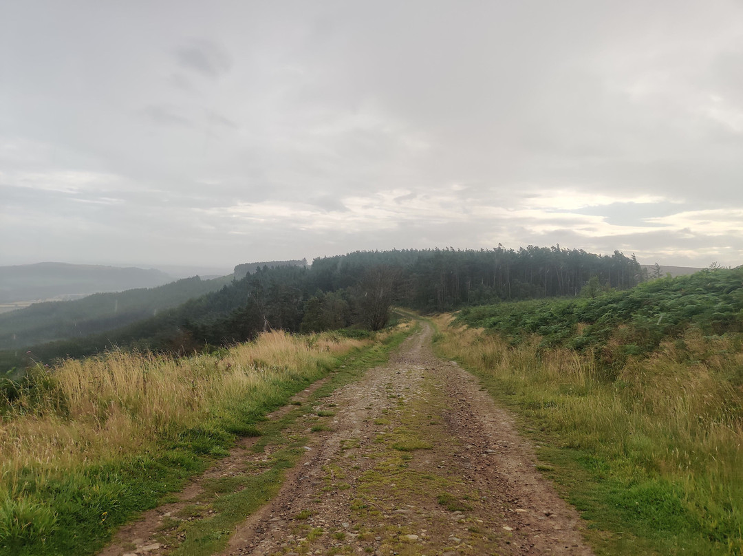 Highcliff Nab-Guisborough必去景点