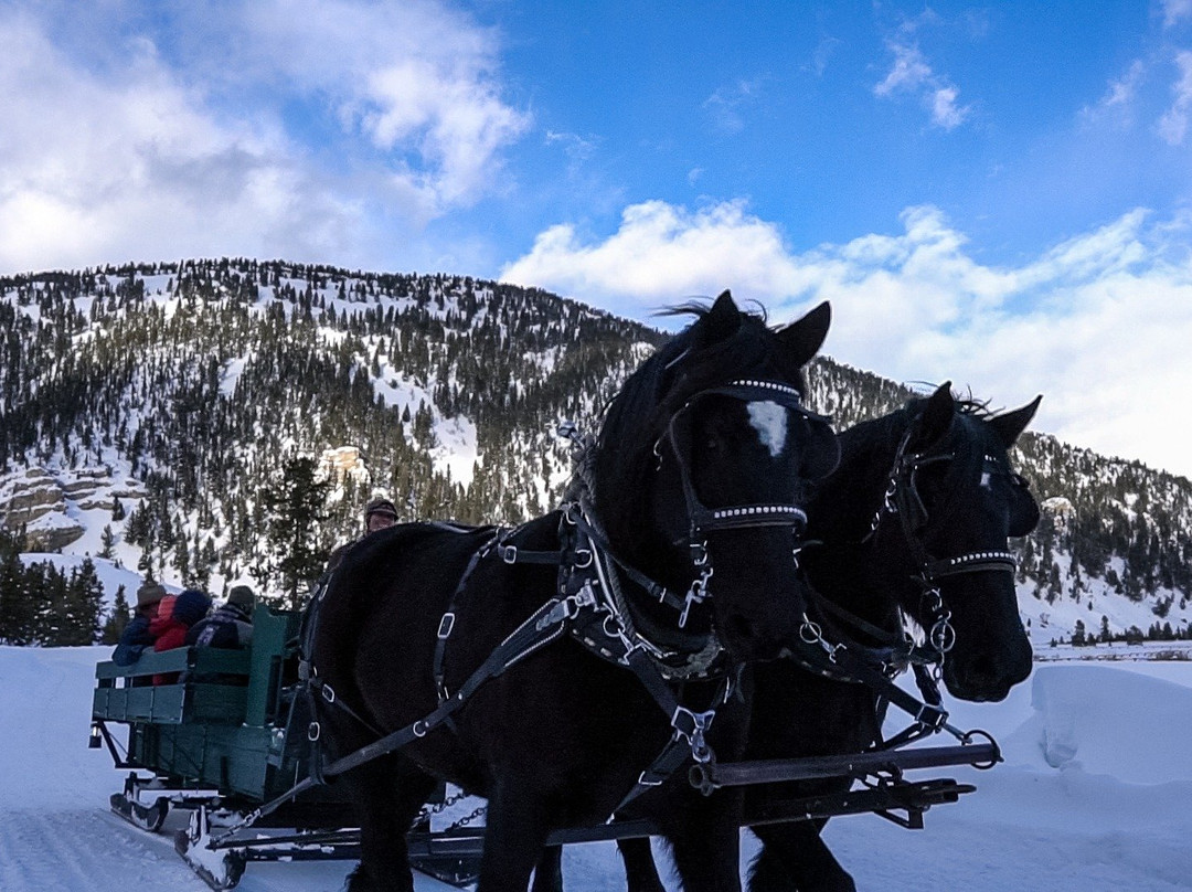 Elkhorn Ranch Sleigh Rides-Gallatin Gateway必去景点