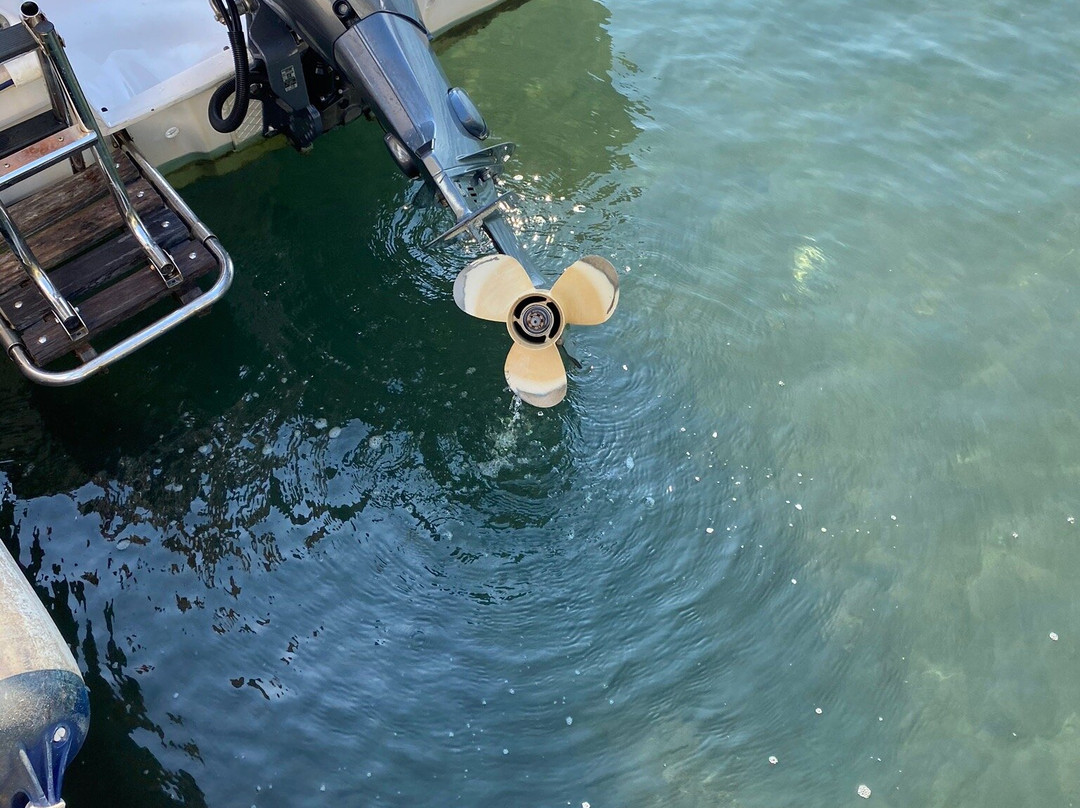 KB Boat Rental景点图片