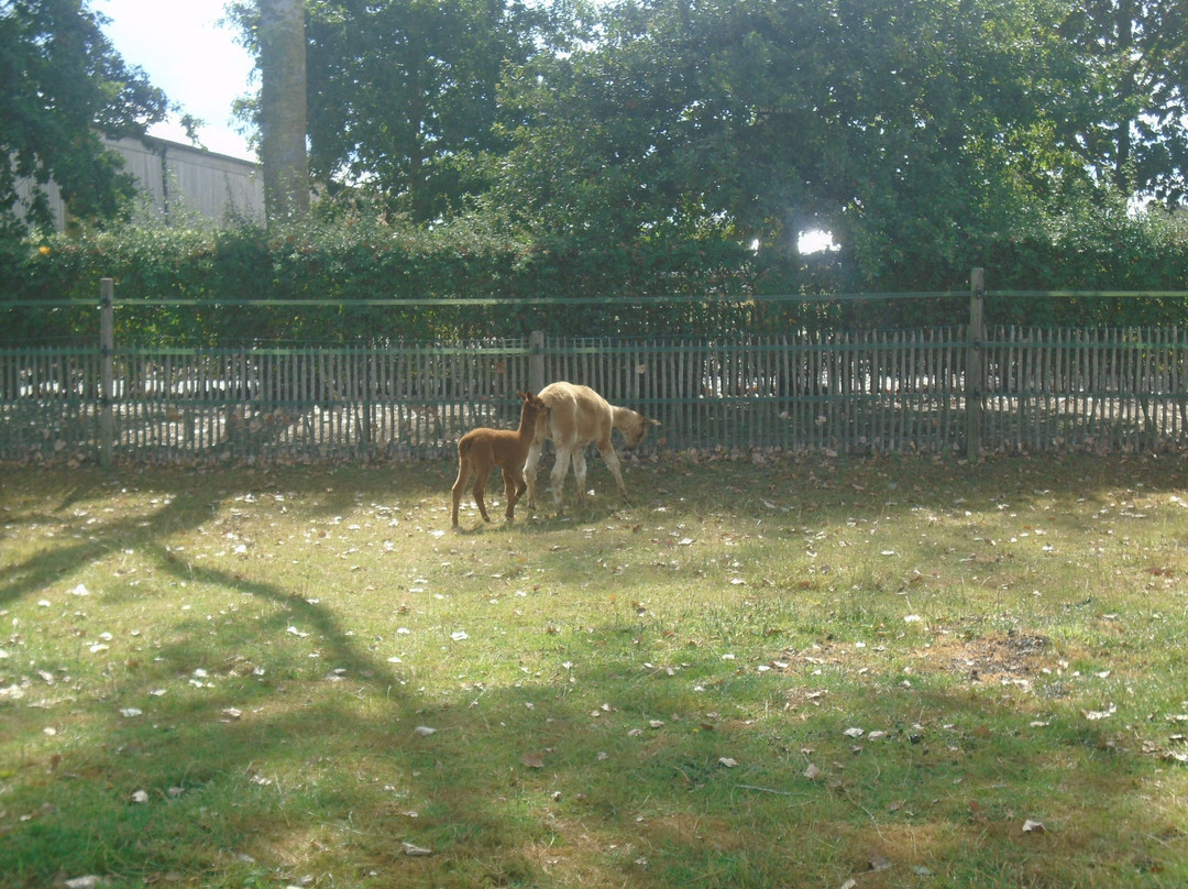 Kinderboerderij Den Ast景点图片