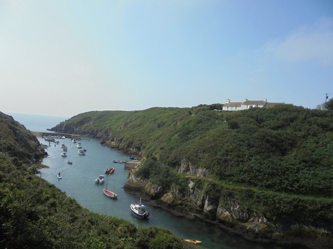 Porth Clais Harbour景点图片