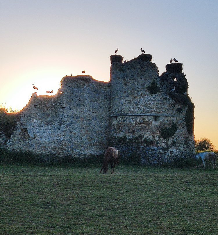 Château de la Rivière景点图片