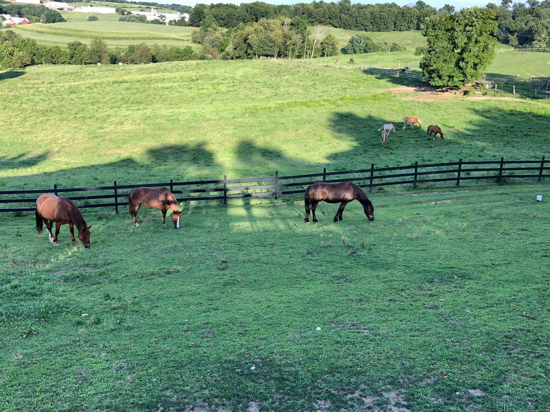 Holmes With A View主图