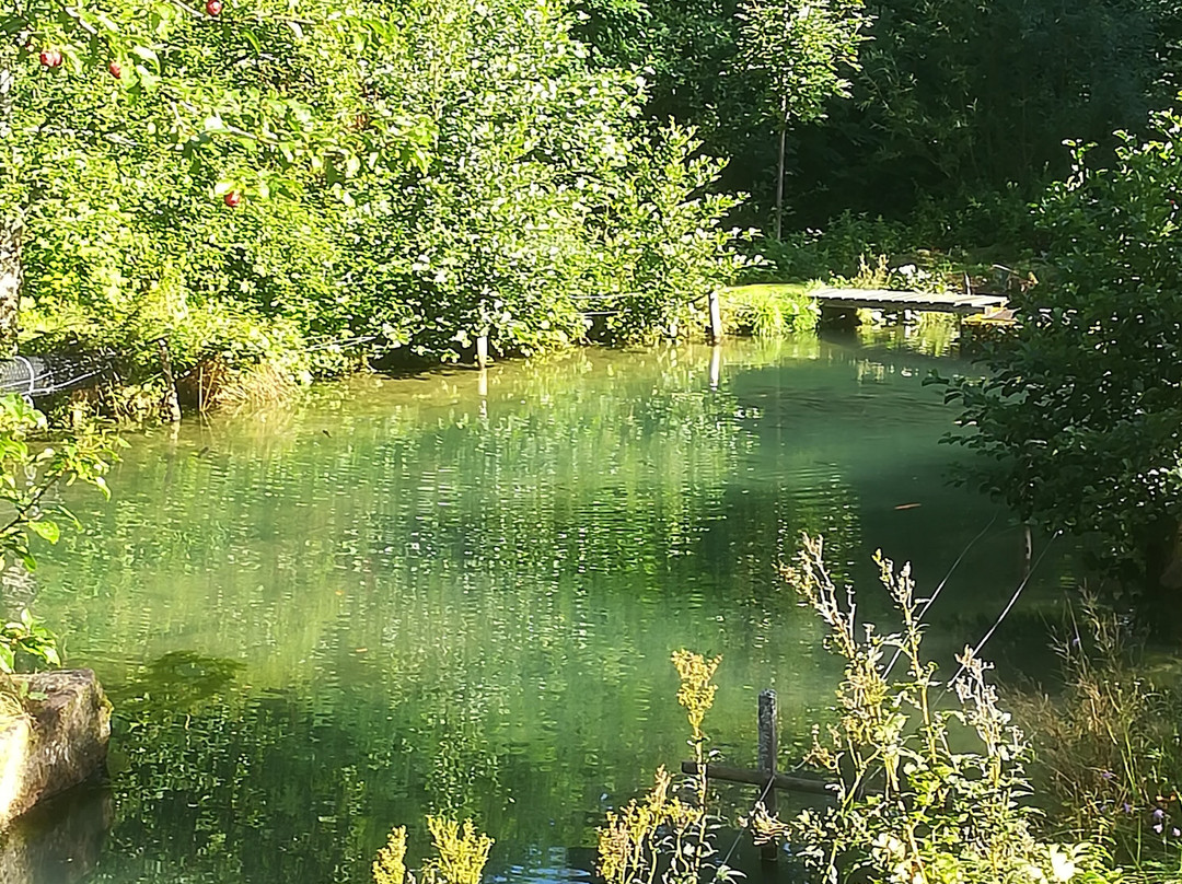 Hotel Gut Lauterbad主图