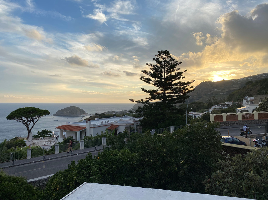 Albergo Villa Giusto主图